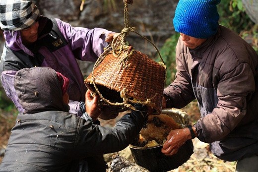 Ron nguoi canh cheo leo giua vach da kiem mat ong-Hinh-9